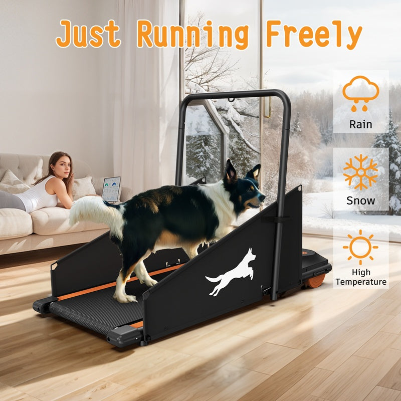 Dog Treadmill  – Foldable Indoor Small, Medium & Large Pet Treadmill
