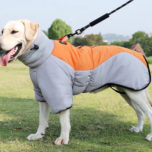 Winter Dog Coat – Warm & Cold Weather Dog Clothes
